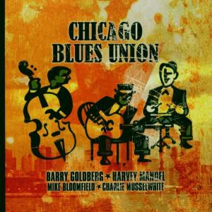 Various - Chicago Blues Union