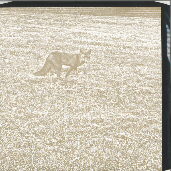 Various - Comme de Loin