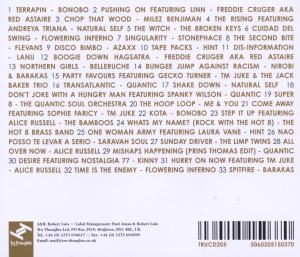 Various - Tru Thoughts 10th Birthday Mix (Back)