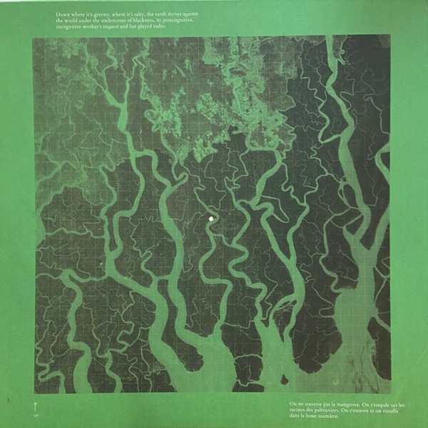 Varuna - Mangrove Management (12" + 10") (Back)