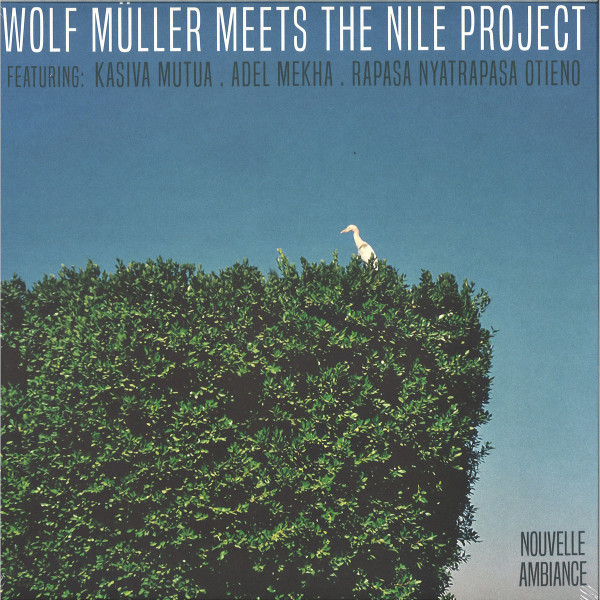 Wolf Müller Meets The Nile Project - Nouvelle Ambiance