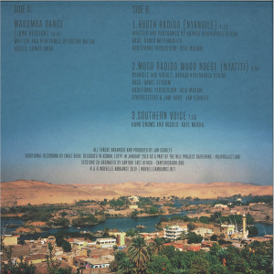 Wolf Müller Meets The Nile Project - Nouvelle Ambiance (Back)