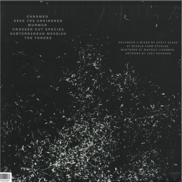 Wren - GROUNDSWELLS (Back)