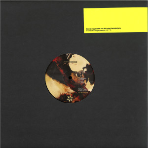 Yan Cook - Hammerhead (Back)