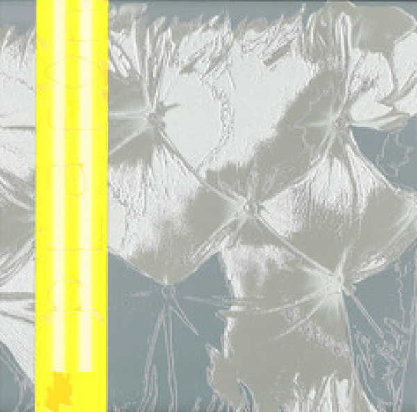 Zoe Mc Pherson & Rupert Clervaux - Plafond 5