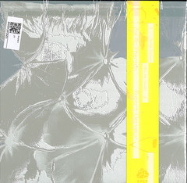Zoe Mc Pherson & Rupert Clervaux - Plafond 5 (Back)