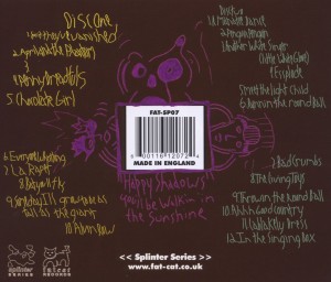 animal collective - spirit they're gone,spirit th (Back)