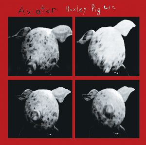 aviator - huxley pig part 2