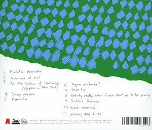 barnett,courtney - sometimes i sit and think,and sometimes. (Back)