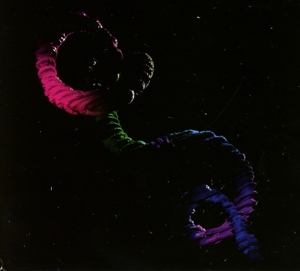 bentley,brogan - the snake