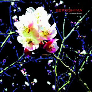 beroshima - polyphonication