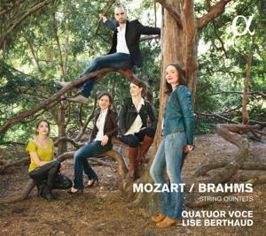 berthaud,l./quatuor voce - streichquintette