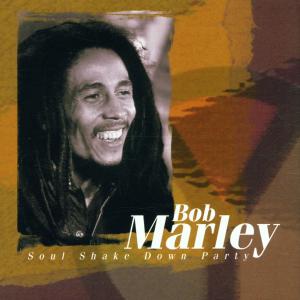 bob marley - soul shake down party