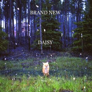 brand new - daisy