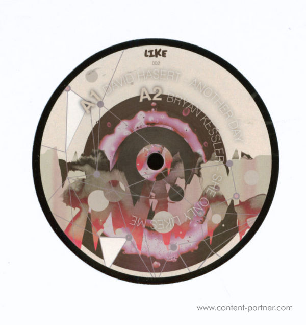 david hasert / bryan kessler - another day / she only likes me