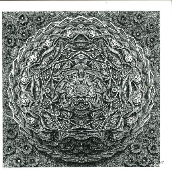 deer - string theory (dwig remix)