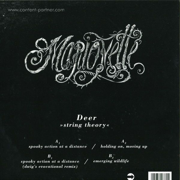 deer - string theory (dwig remix) (Back)