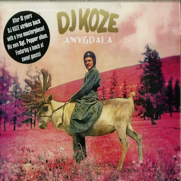 dj koze - amygdala
