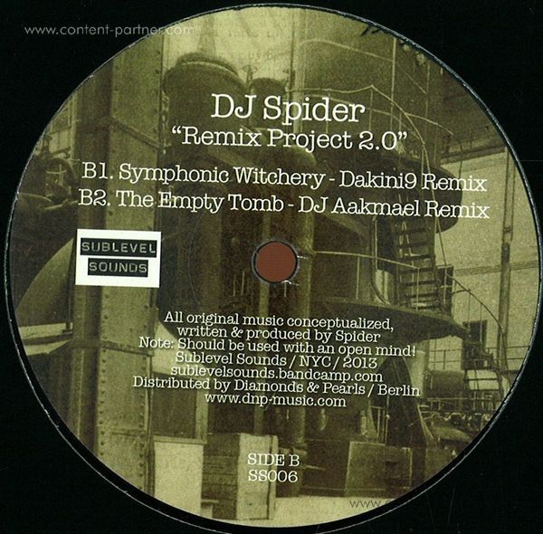 dj spider - remix project 2.0 (Back)