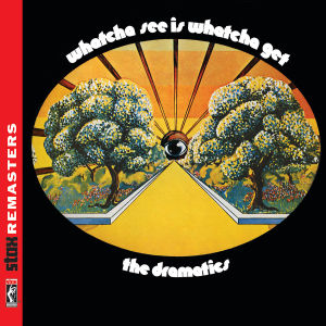 dramatics,the - whatcha see is whatcha get (stax remaste
