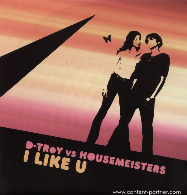 d-troy vs housemeister - i like u