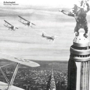 echologist - storming heaven