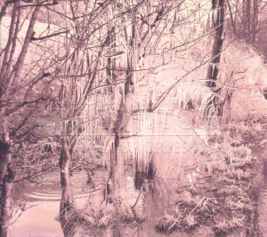 esben and the witch - violet cries