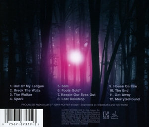 fitz & the tantrums - more than just a dream (Back)