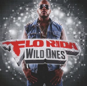 flo rida - wild ones