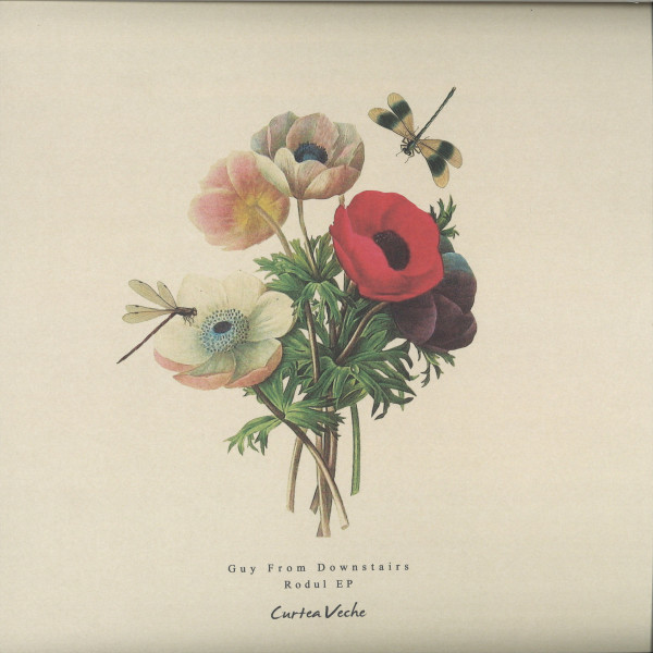 guy from downstairs - rodul ep