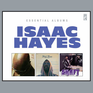 hayes,isaac - essential albums: hot buttered soul/blac