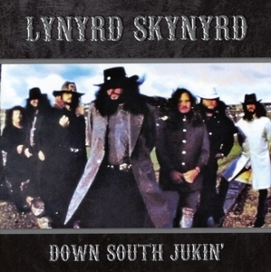 lynyrd skynyrd - down south jukin