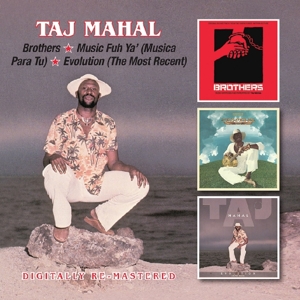 mahal,taj - brothers/music fuh ya'/evolution