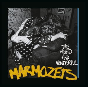 marmozets - the weird and wonderful marmozets