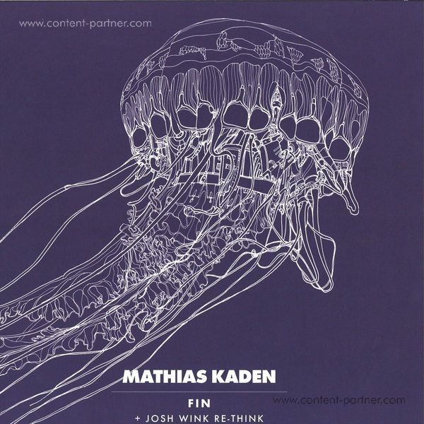 mathias kaden - fin, josh wink re-think