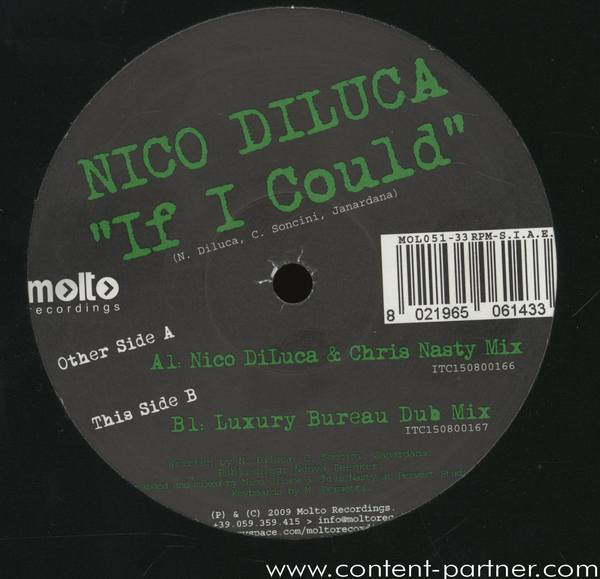 nico diluca - if i could