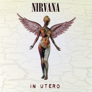 nirvana - in utero (20th anniversary) (deluxe edit