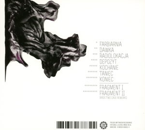 no accident in paradise - asymetria (Back)