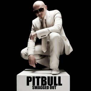 pitbull - swagged out