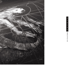 pixies - doolittle 25