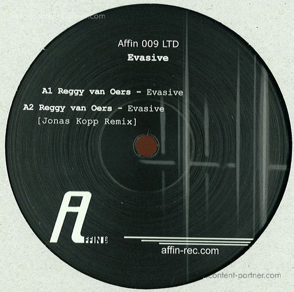 reggy van oers - evasive