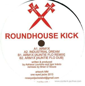 roundhouse kick - arm1x