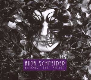 schneider,anja - beyond the valley
