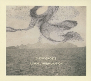 snow ghosts - a small murmuration