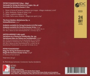 st.petersburg camerata - from russia with strings (Back)