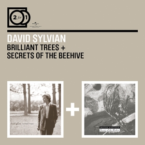 sylvian,david - 2 for 1: brilliant trees/secrets of the