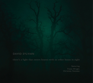 sylvian,david - there's a light that enters houses with