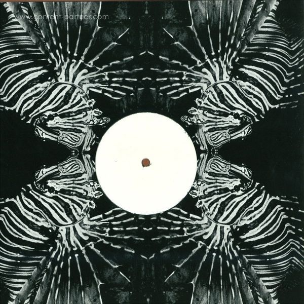 tambien - the tambien project (repress) (Back)