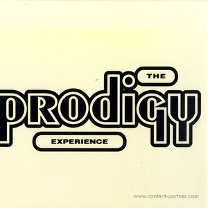 the prodigy - experience
