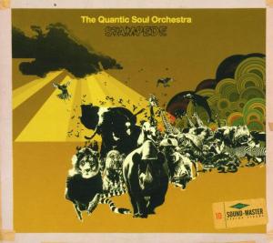 the quantic soul orchestra - stampede cd